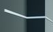 Interior Molding AAZL002991AA006993 (Polyurethane), 2000